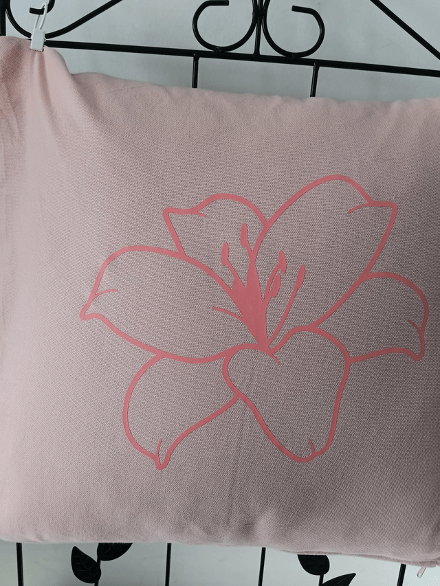 Coussin personnalisable sur demande 