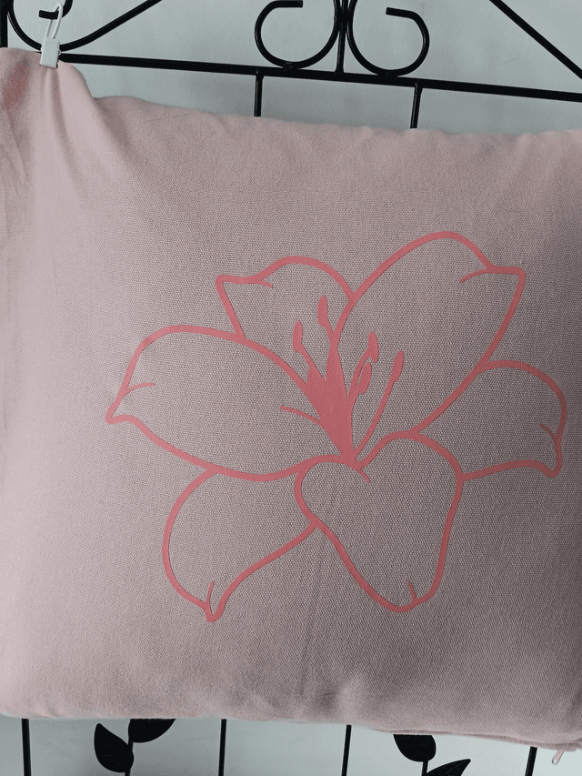 Coussin personnalisable sur demande 